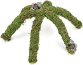 12 Inch Hermit Crab Climbing Toys for Tank, Fake Moss Hermit Crab Habitat Tank Accessories, Pet Snail Climbing Toys, Ideal Snail Terrarium Accessories (Natural Green, 12 Inch)