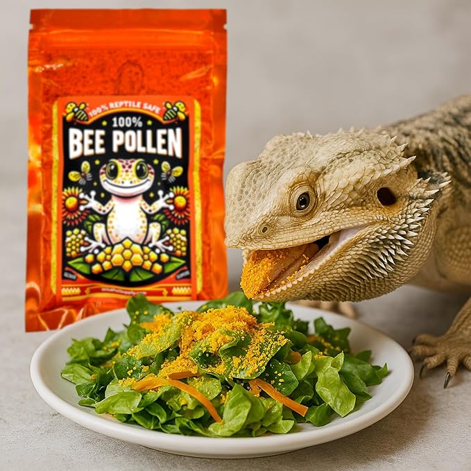 100% Bee Pollen Powder for Bearded Dragons, Tortoises, and Other Herbivores/Omnivores, 3 OZ (CTWPets)