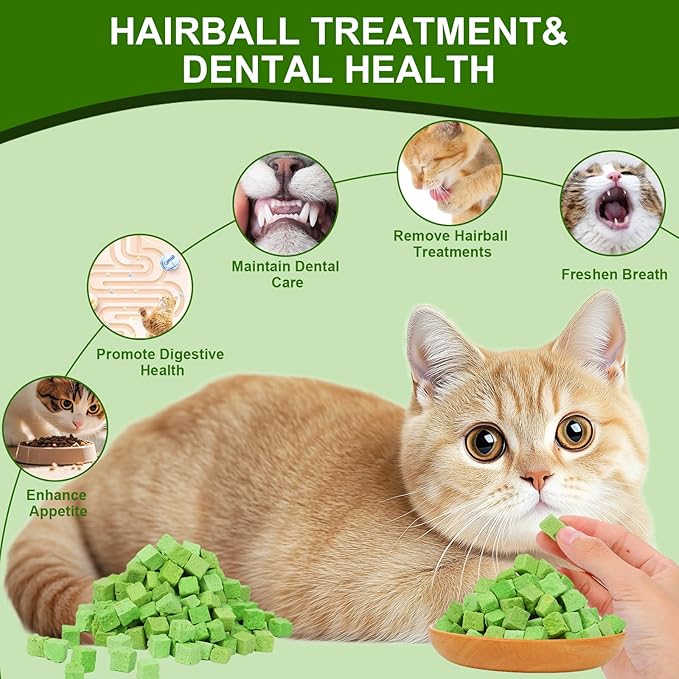 100g Freeze-Dried Cat Grass Treats, Natural Hairball Treatment for Cats, Edible Cats Chew Toy Cat Treats Snack for Teething Cleaning Hairball Removal