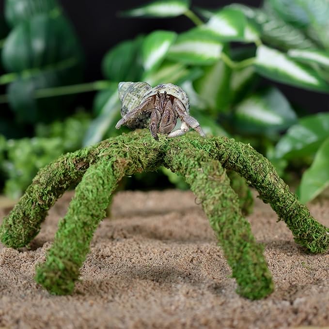 12 Inch Hermit Crab Climbing Toys for Tank, Fake Moss Hermit Crab Habitat Tank Accessories, Pet Snail Climbing Toys, Ideal Snail Terrarium Accessories (Natural Green, 12 Inch)
