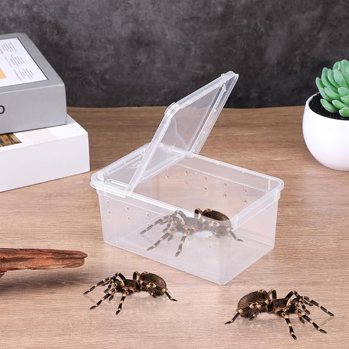 10 Pcs Reptile Breeding Box, Clear Plastic Terrarium with Vent Holes, Small Animal Enclosure for Spider Scorpion Lizard Insect, 5.9x3.9x2.55 Inch