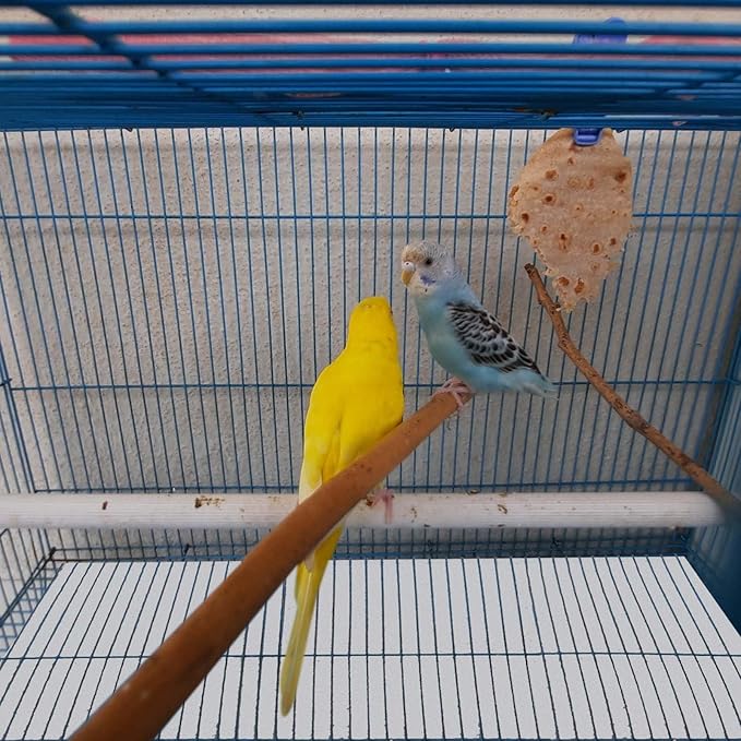 100 ft x 11 Inch Bird Cage Liner Disposable Cages Cushion Pad Mat Precut Absorbent Bird Cage Paper Large Parakeet Cage Liners Accessories for Pet Animal Bird Parrot (White)