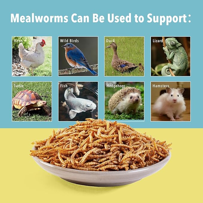 10lb Dried Mealworms for Wild Birds Chickens Feed for Laying Hens,Ducks,Reptiles