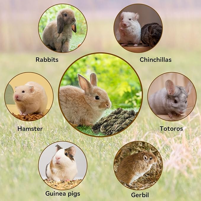 10pcs Rabbit Timothy Hay Toy,Rabbit Chew Toys Bunny Treats Natural Timothy Grass Stick Natural Woven Molar Teeth Chewing Toys for Bunny Hamster Guinea Pigs Chinchilla Gerbils
