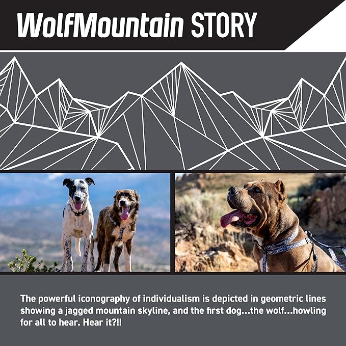 Wolfgang Heavy Duty Martingale Dog Collar with Quick Release Nylon Buckle for Walking & Training, WolfMountain Print, Small