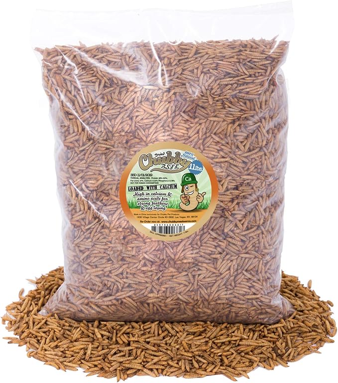 11lb Dried Black Soldier Fly Larvae (High in Calcium & Protein) for Wild Birds, Chickens, Sugar Gliders, Hedgehogs, Reptiles etc.