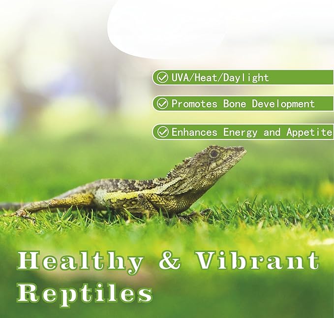 100W Reptile Heat Lamp Bulbs, 2-Pack Basking Spot Light for Bearded Dragon, Lizard, Turtle, Snake – Simulates Natural Sunlight for Amphibian Terrariums & Reptile Habitats