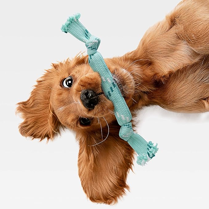 rocket & rex Dog Chew Toy Set for Small to Medium Breeds, Includes a Rope, Rubber Squeaker and Plush Toy with Ball, Reduces Destructive Chewing & Anxiety (Pack of 3)