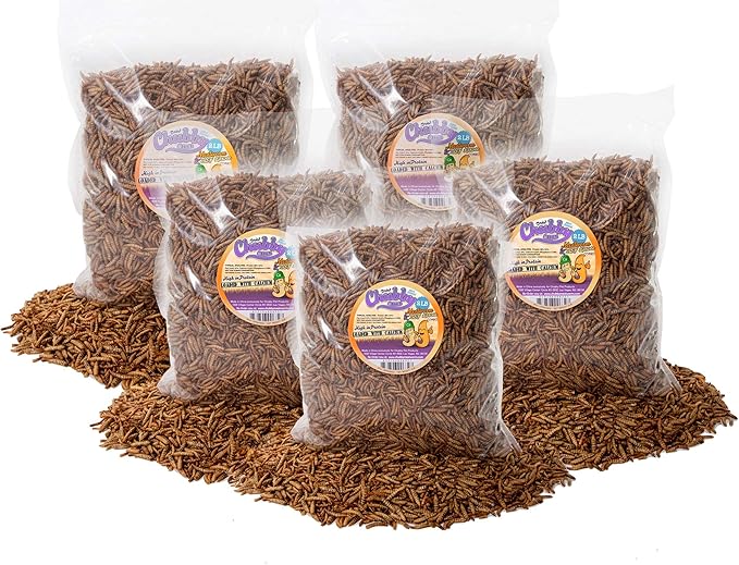 10lb Chubby Mix Mealworm & Black Soldier Fly Larvae Combo. Non-GMO Dried Insects for Chickens – High Protein Chicken Feed Meal Worms for Wild Birds & Chicken Treats for Laying Hens