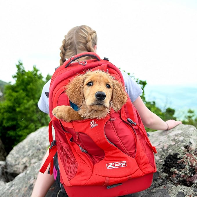 Kurgo G-Train Dog Carrier Backpack - Comfortable Travel Bag - Waterproof Armorsole Base - Convertible Backpack to Carrier - Padded Laptop Compartment - Hands-Free Pet Travel Backpack