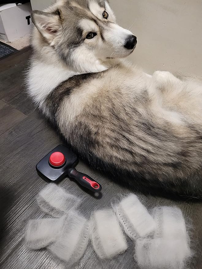 Slicker Brush and Undercoat Rake, Dog Brush for Shedding & Grooming, Remove Loose Dog Hair, Fur, Undercoat and Mats, Medium & Long Haired Dogs, Great for Husky, GSD, Shepherd, Double Coats