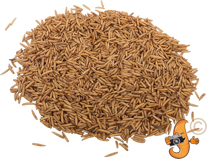11lb Dried Black Soldier Fly Larvae (High in Calcium & Protein) for Wild Birds, Chickens, Sugar Gliders, Hedgehogs, Reptiles etc.