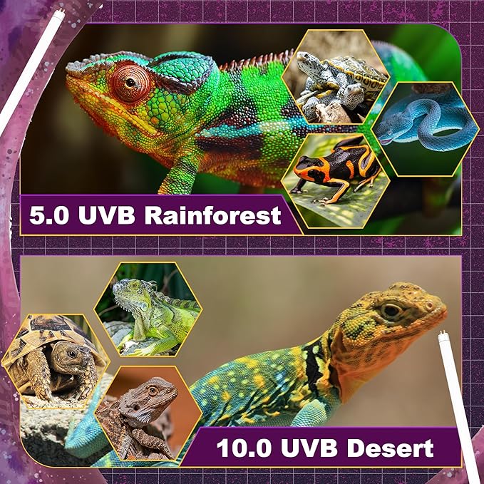 10.0 UVB Light for Reptiles, T5 HO 8 Watt Reptile Lamp Tube, Pack of 2 Fluorescent UVB Bulb, Basking Light for Bearded Dragon, Simulate Natural Sunlight for Reptiles and Amphibians